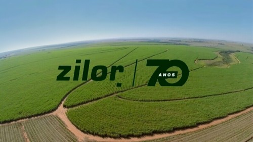 Zilor - site ideia2
